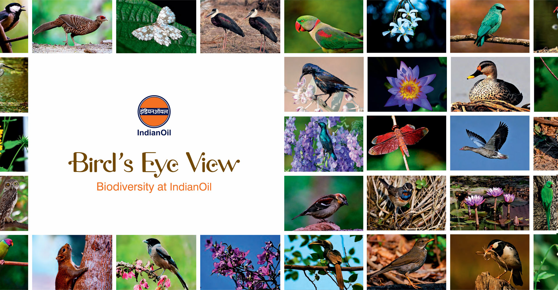 Front Page of Book Bird Eye View:: Book by N. Shiva Kumar