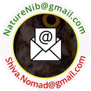 Contact information image