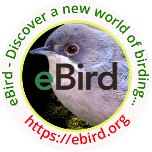 N. Shiva Kumar Profile on ebird.org