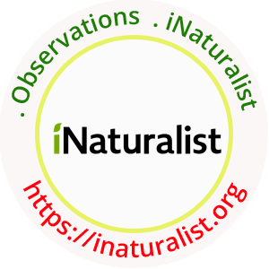 INaturalist N. Shiva Kumar