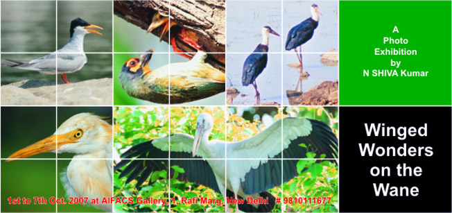 Photo Exhibition at IIC, New Delhi