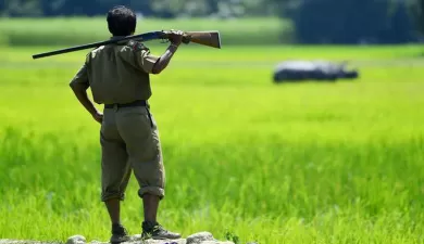 A forest officer stands guard just outside Kaziranga National Park looking at an endangered one-horned rhino in the distance. 