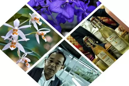 Manipur shows the herbal way to health
