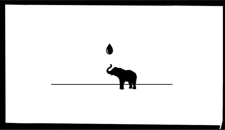 Wildlife too needs a good drought