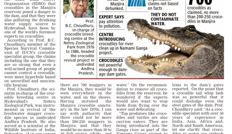 Crocodiles no Threat to Manjira, Dam Safety Experts Ignorant